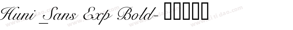 Huni_Sans Exp Bold字体转换